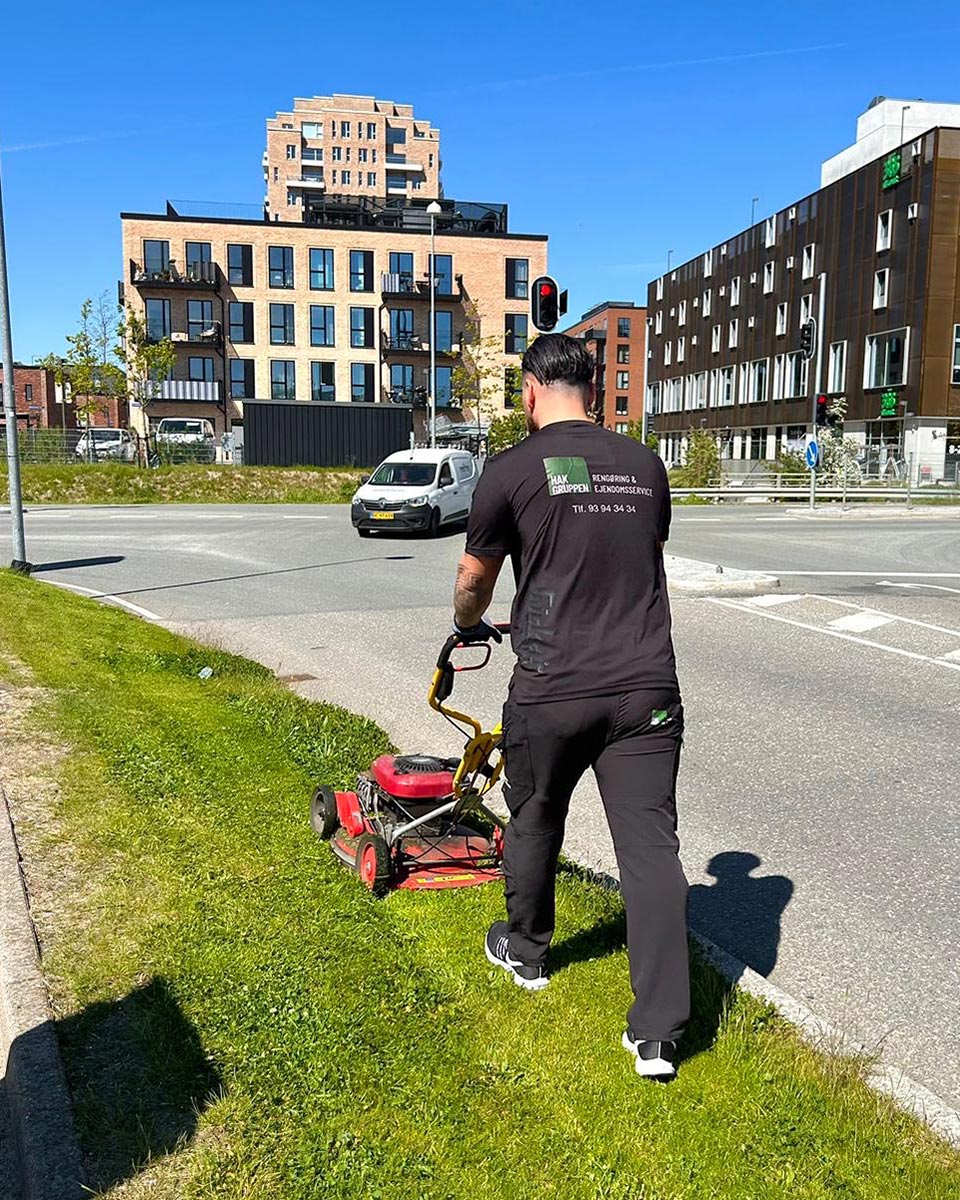 Hak-rengøring_græs